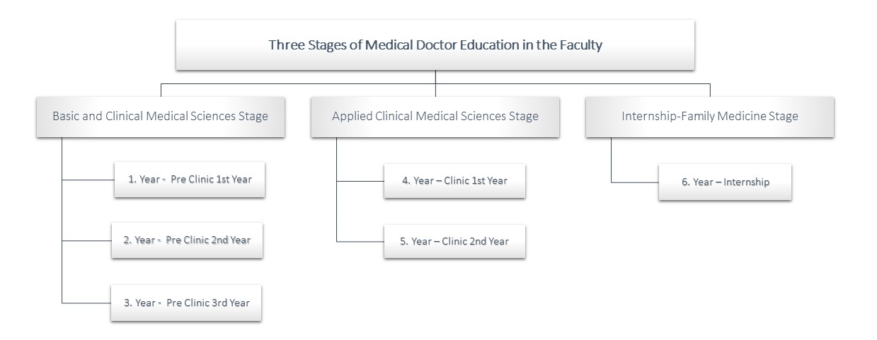 Course Structure1.png