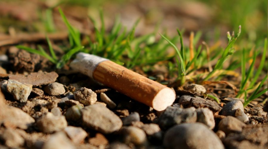 En Yaygın Zararlı Atık: Sigara İzmariti! | İstanbul Aydın Üniversitesi
