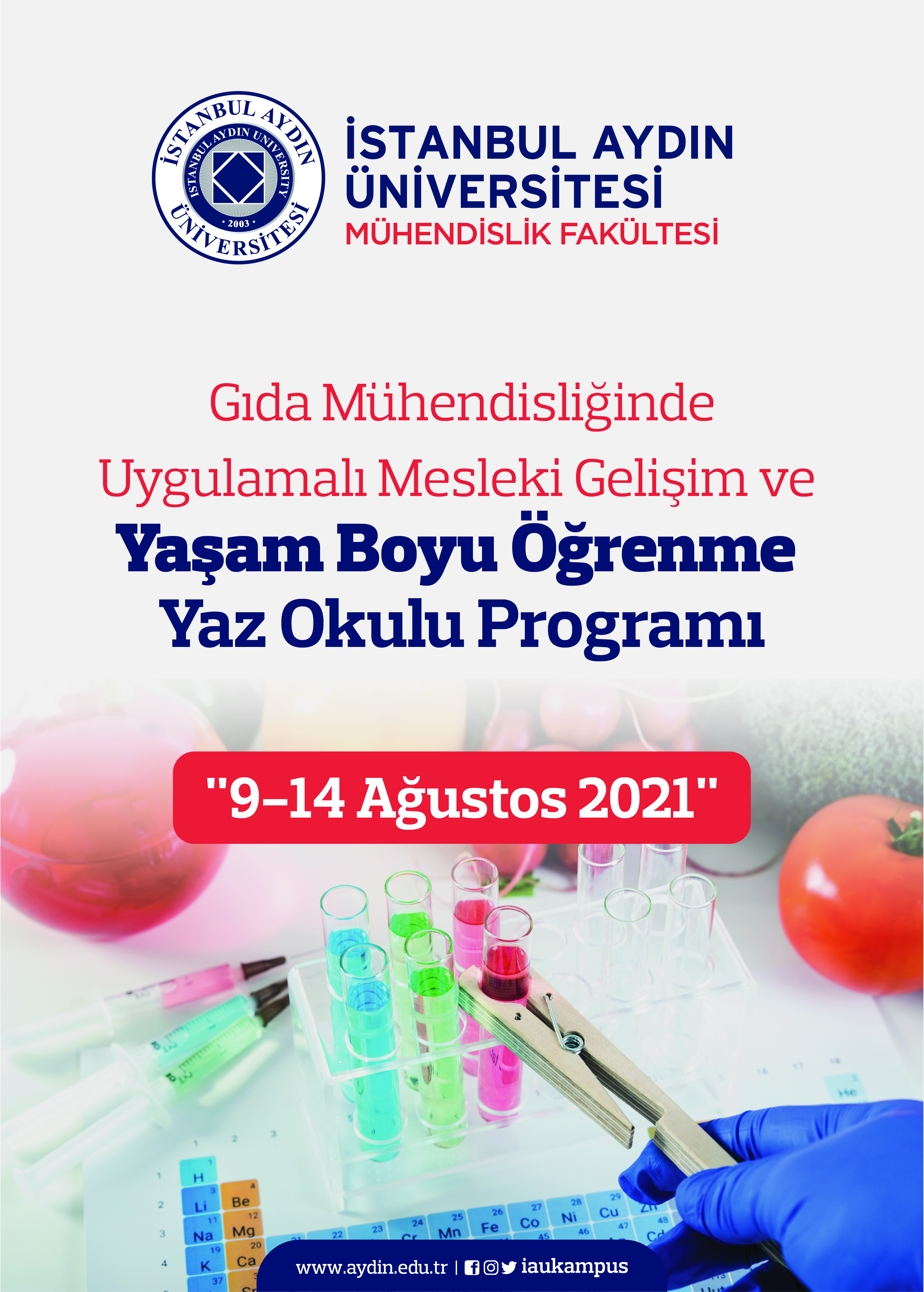 Gıda Mühendisliğinde Uygulamalı Mesleki Gelişim ve Yaşam Boyu Öğrenme Yaz Okulu Programı.jpg