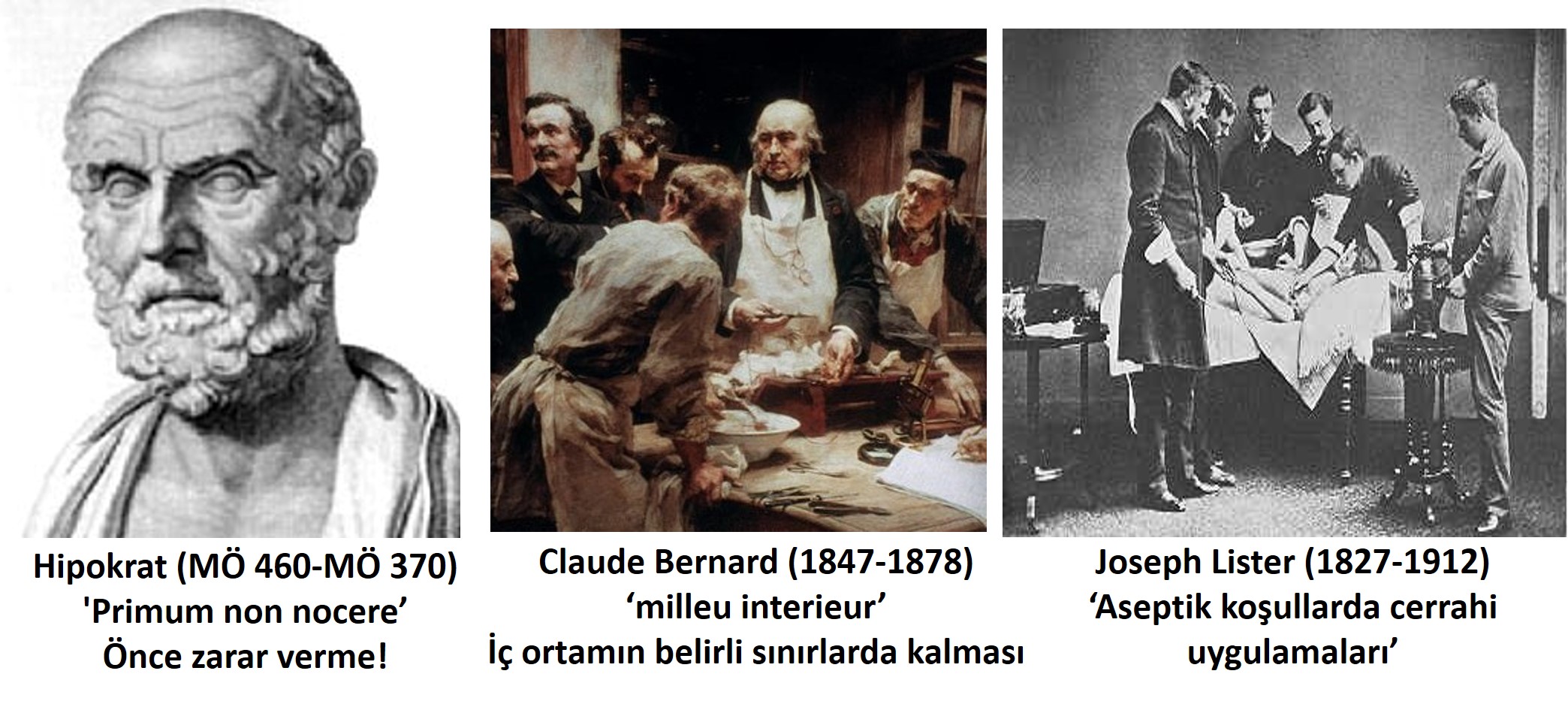 Tıp Fakültesi ana sayfa resmi.jpg