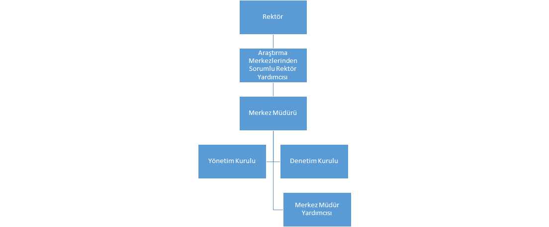 organizasyon şeması.png