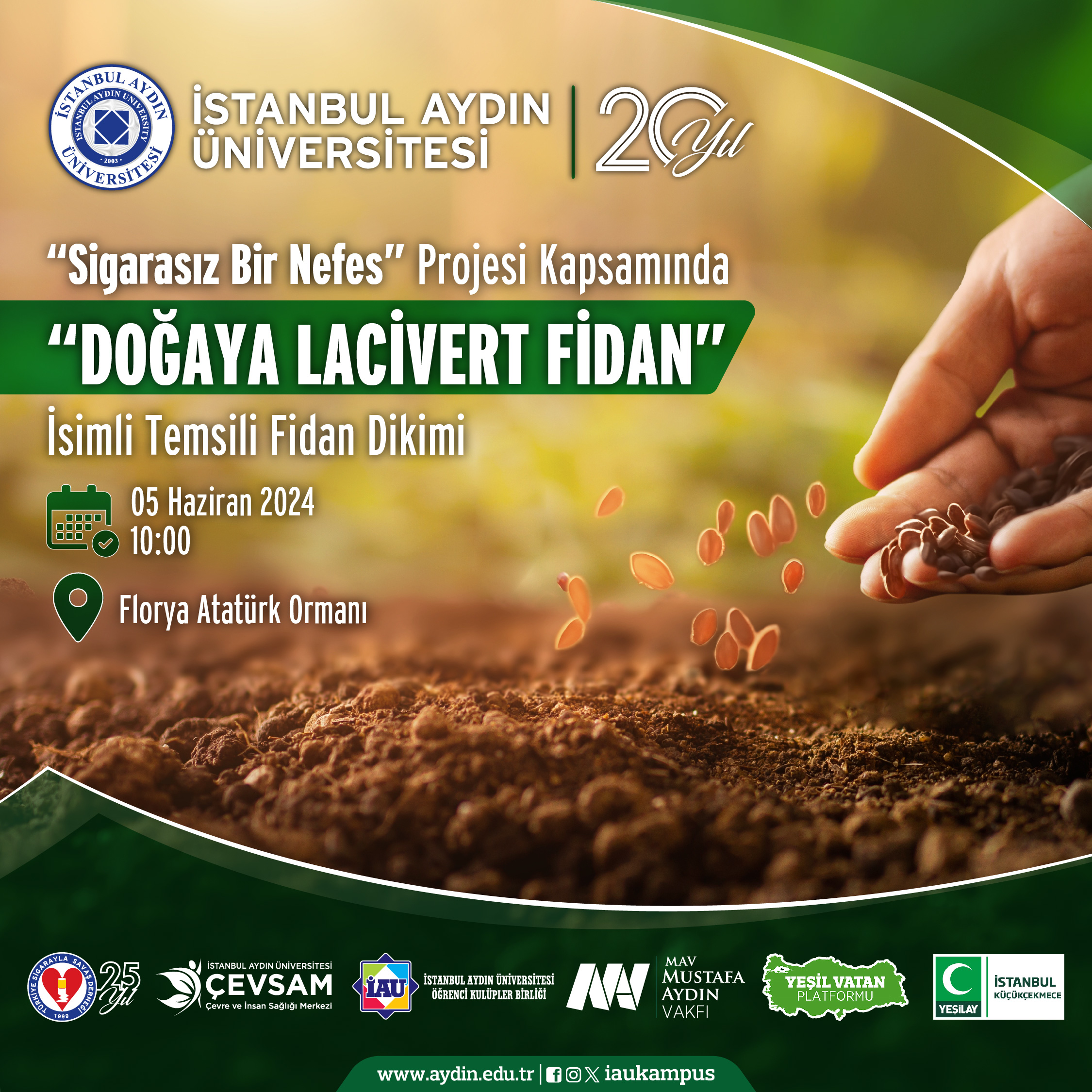 dogaya-lacivert-fidan.jpg
