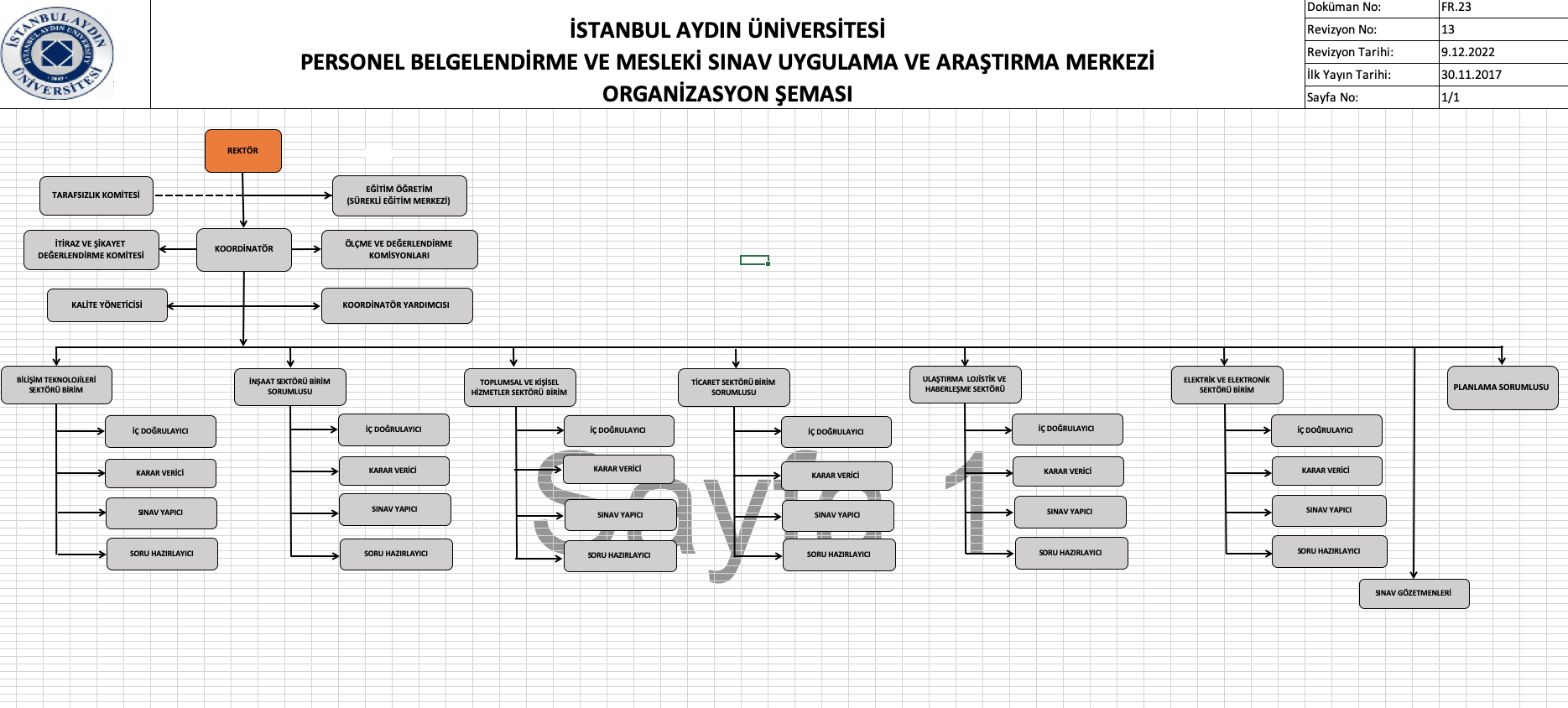 organizasyon şema.png