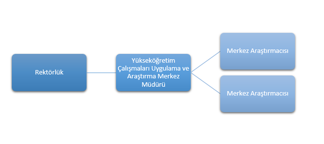 Organizasyon şeması.png