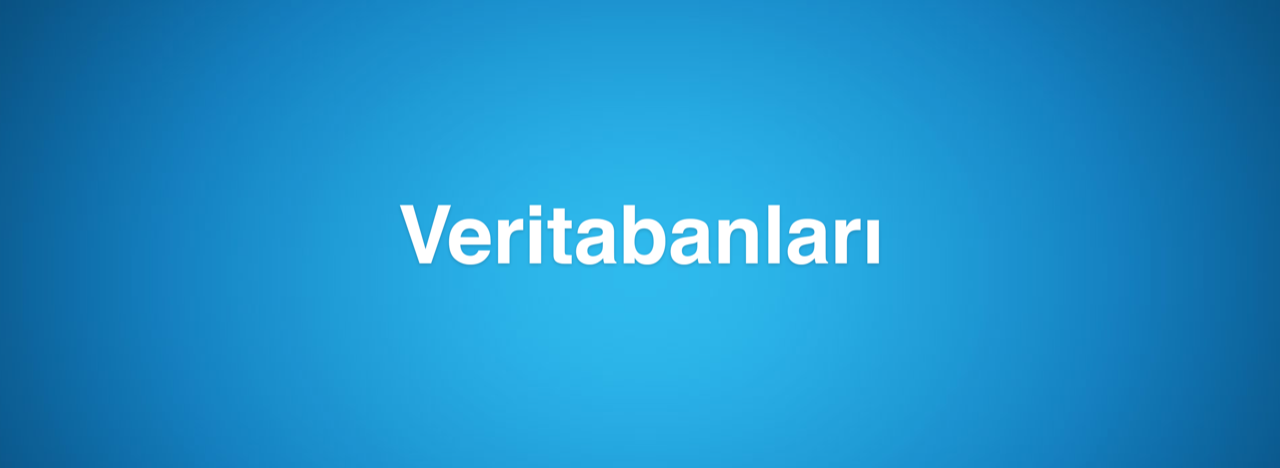 veritabanlari.png